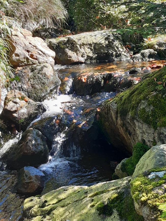 Anno - Wohlfuehlen Am Bachal In Altschoenau Neuschönau エクステリア 写真