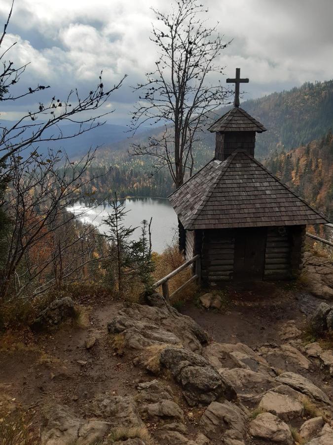 Anno - Wohlfuehlen Am Bachal In Altschoenau Neuschönau エクステリア 写真