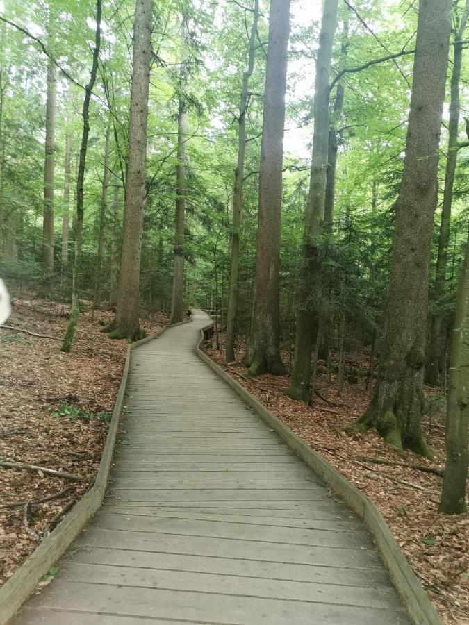 Anno - Wohlfuehlen Am Bachal In Altschoenau Neuschönau エクステリア 写真