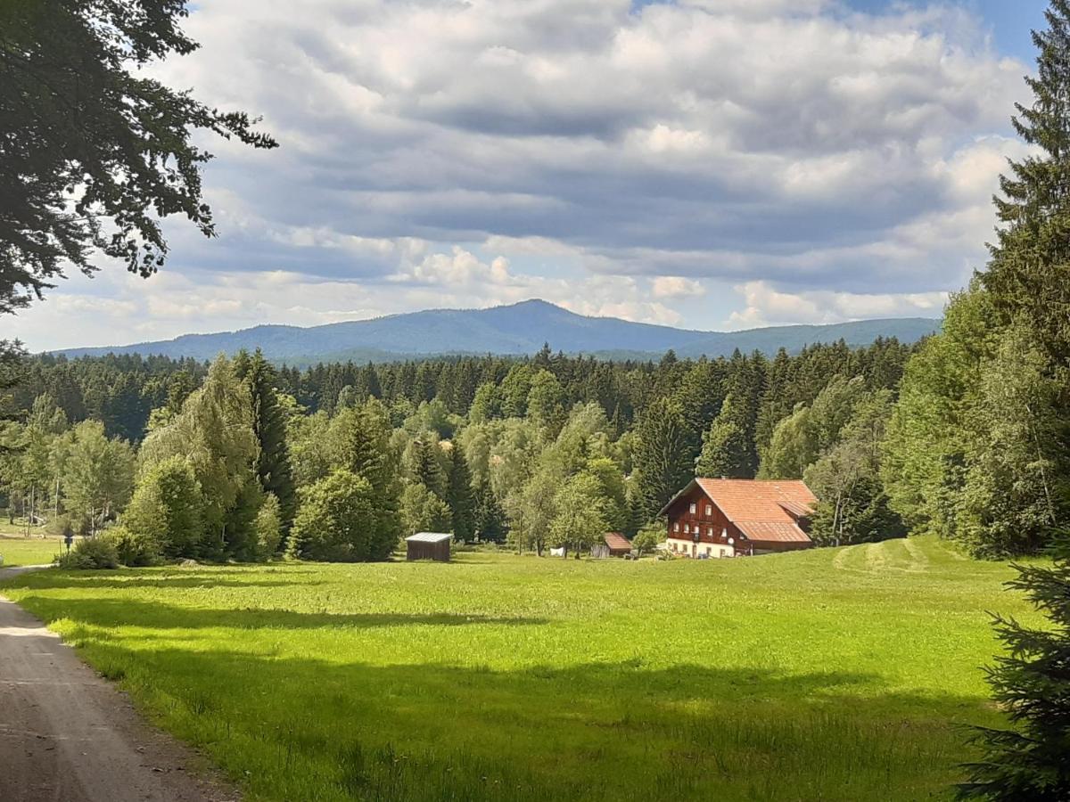 Anno - Wohlfuehlen Am Bachal In Altschoenau Neuschönau エクステリア 写真